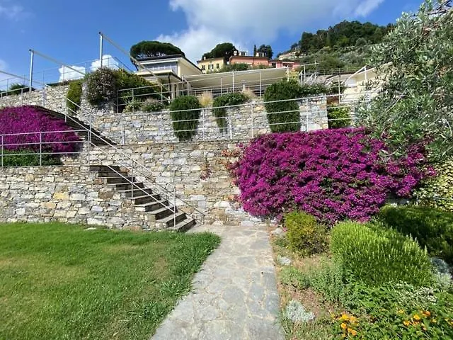 Camogli - 